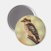 Kookaburra - Australische vogelkunst Magneet (Voorkant / Achterkant)