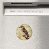 Kookaburra - Australische vogelkunst Magneet (Insitu (Vaatwasser))