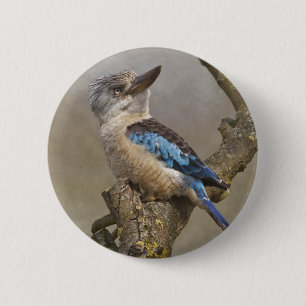 Kookaburra-badge Ronde Button 5,7 Cm