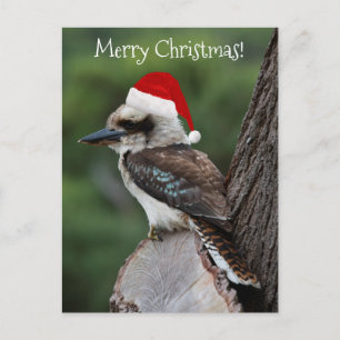 Kookaburra Bird Animal Red Santa Hat Kerstmis Briefkaart