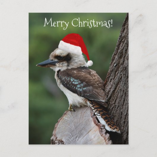 Kookaburra Bird Animal Red Santa Hat Kerstmis Briefkaart (Voorkant)