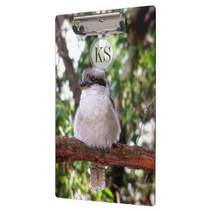 Kookaburra Bird Australia Photography Cliboard Klembord