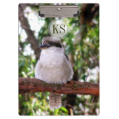 Kookaburra Bird Australia Photography Cliboard Klembord (Voorkant)