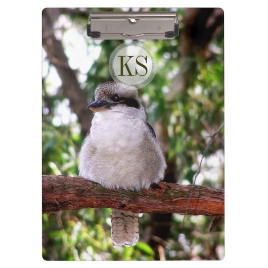 Kookaburra Bird Australia Photography Cliboard Klembord (Voorkant)