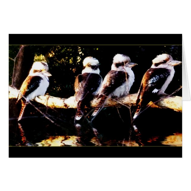 Kookaburra Bird Choir Kaart (Voorkant Horizontaal)