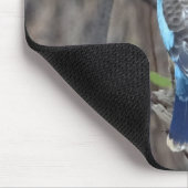 Kookaburra Bird Muismat (Hoek)