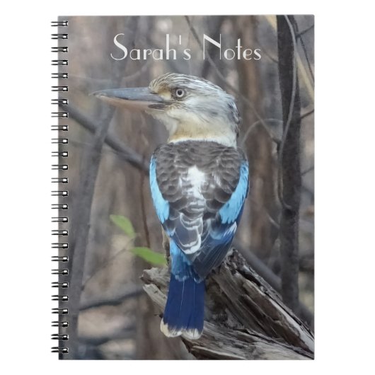 Kookaburra Bird Notitieboek (Voorkant)