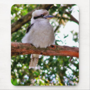 Kookaburra Bird op een boomtak Mousepad Muismat