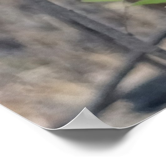 Kookaburra Bird Poster (Hoek)