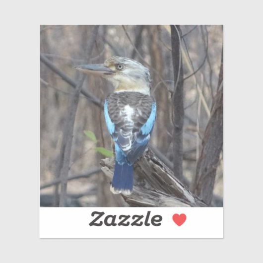 Kookaburra Bird Sticker (Vel)