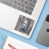 Kookaburra Bird Sticker (Laptop met iPhone)