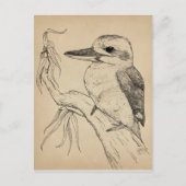 Kookaburra Briefkaart (Voorkant)