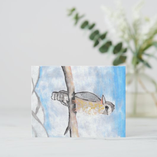 Kookaburra Briefkaart (Staand voorkant)