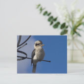 Kookaburra Briefkaart (Staand voorkant)