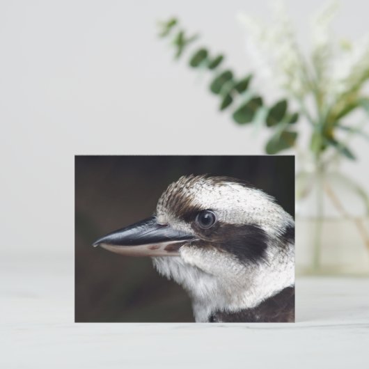 Kookaburra Briefkaart (Staand voorkant)