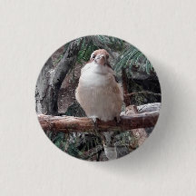 Kookaburra-Button