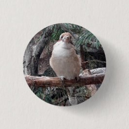 Kookaburra-Button Ronde Button 3,2 Cm