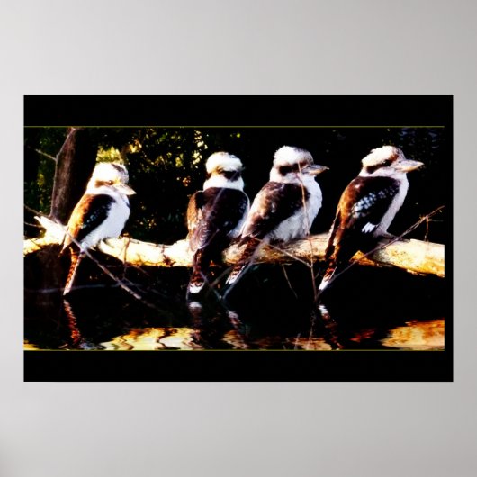 Kookaburra Choir Poster (Voorkant)