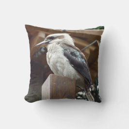 Kookaburra Cushion Kussen