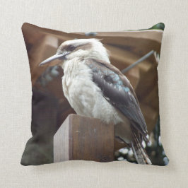 Kookaburra Cushion Kussen