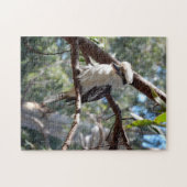Kookaburra Foto Jigzaag Puzzle Legpuzzel (Horizontaal)