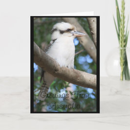 Kookaburra Greetings uit Australië Wenskaart Kaart