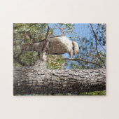 Kookaburra in boom legpuzzel (Horizontaal)