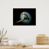 Kookaburra in de schijnwerpers poster (Keuken)