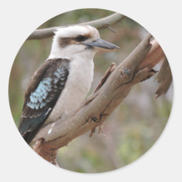 Kookaburra in Gum Tree - Ronde Sticker