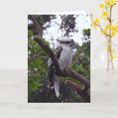 Kookaburra Kaart (Gele Bloem)