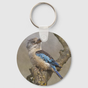 Kookaburra Keyring Sleutelhanger