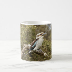 Kookaburra Koffiemok