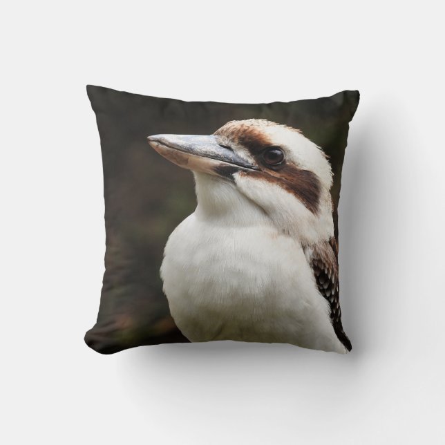 Kookaburra Kussen (Voorkant)