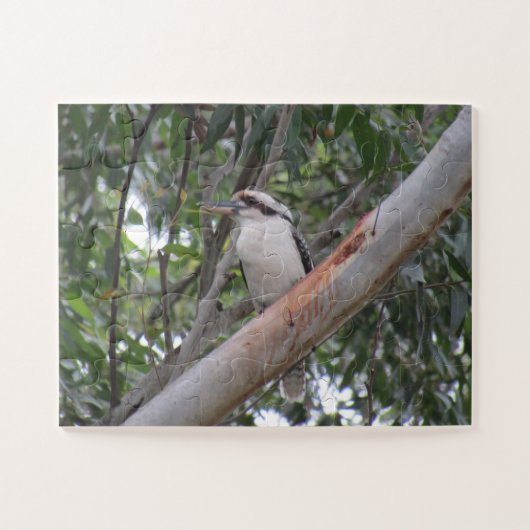 kookaburra legpuzzel (Horizontaal)