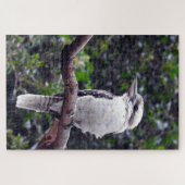 Kookaburra Legpuzzel (Horizontaal)