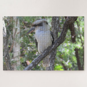 kookaburra legpuzzel