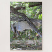 kookaburra legpuzzel (Verticaal)