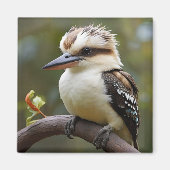 Kookaburra Magneet (Voorkant)