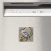 Kookaburra Magnet (Insitu (Vaatwasser))