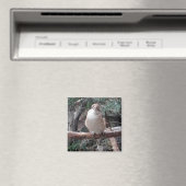 Kookaburra Magnet (Insitu (Vaatwasser))