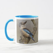 Kookaburra mok (Links)