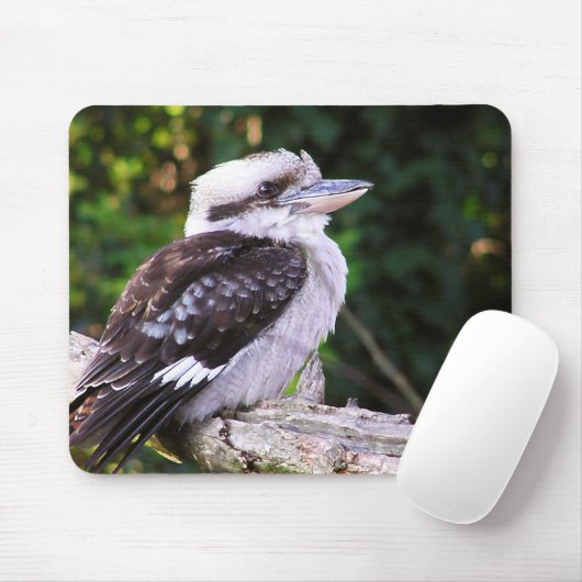 Kookaburra Mousepad Muismat (Met muis)