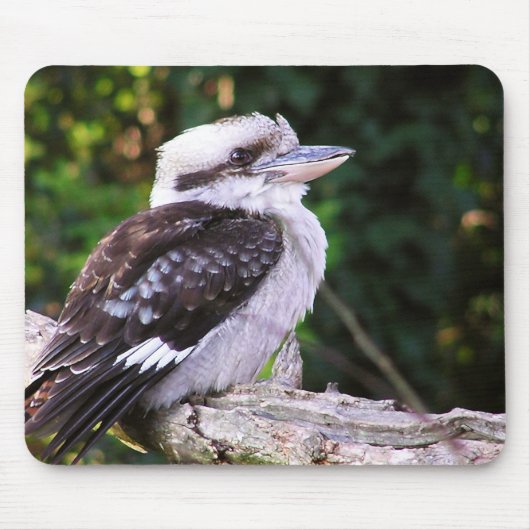 Kookaburra Mousepad Muismat (Voorkant)