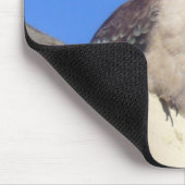 kookaburra mousepad muismat (Hoek)
