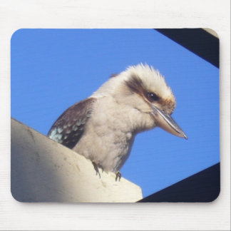 kookaburra mousepad muismat