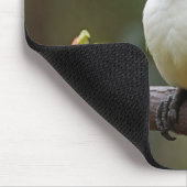 Kookaburra Muismat (Hoek)