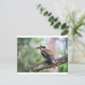 Kookaburra op tak briefkaart (Staand voorkant)
