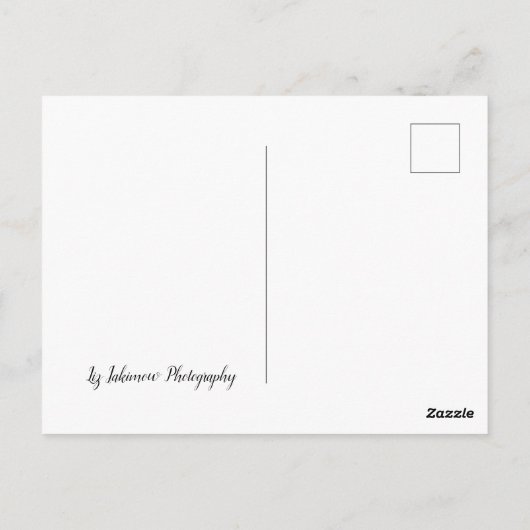 Kookaburra op tak briefkaart (Achterkant)