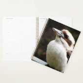 Kookaburra Planner (Display)