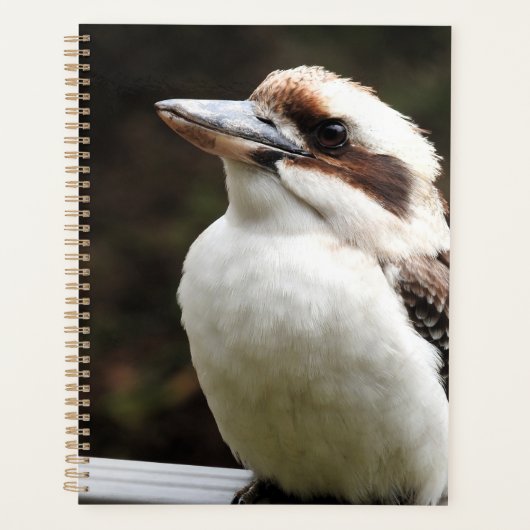 Kookaburra Planner (Voorkant)
